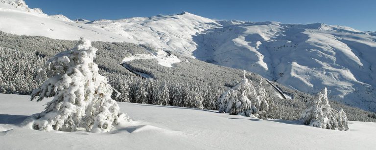 Sierra Nevada